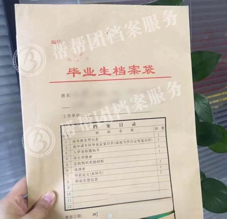 在哪里可以查询到自己的档案？