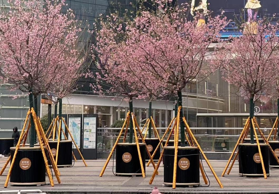 武汉樱花季即将开启，全城赏樱攻略来了！