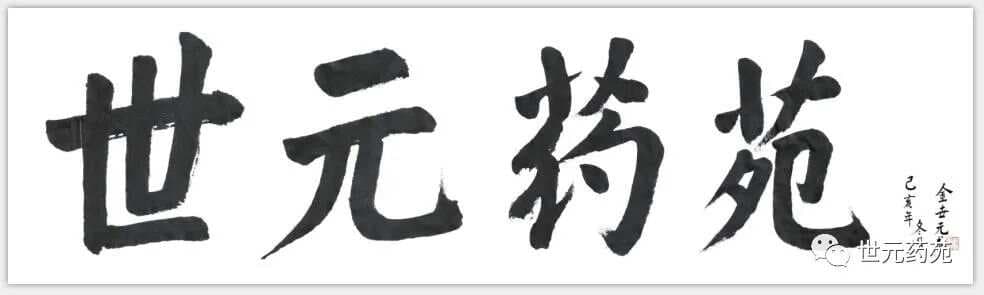 揭秘“中药第一药”麻黄煎煮与禁忌