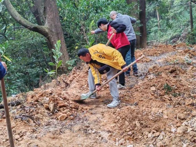 石冲社区：汇聚“绿美合伙人”，携手共筑“新”绿景