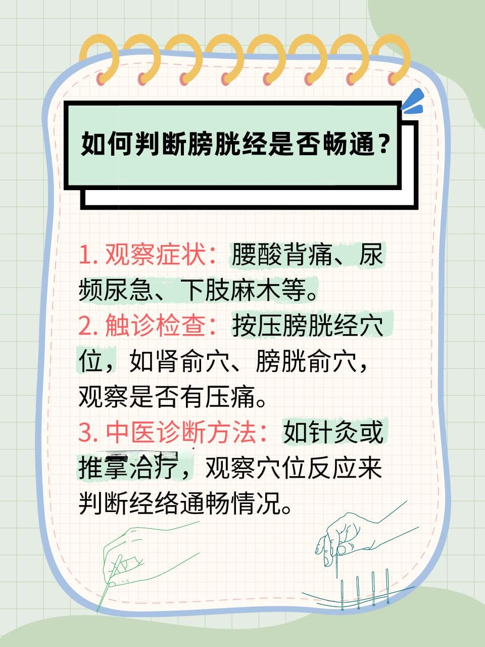 膀胱经循行路线详解：日常保健与调理指南
