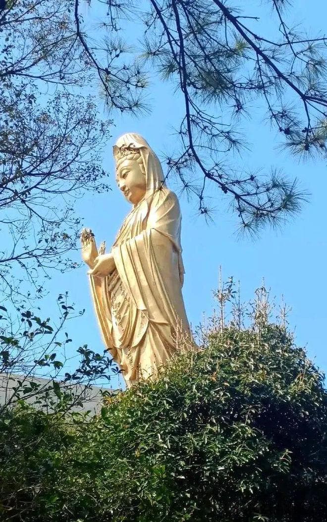 普陀山礼佛全攻略：各寺院祈福功能详解