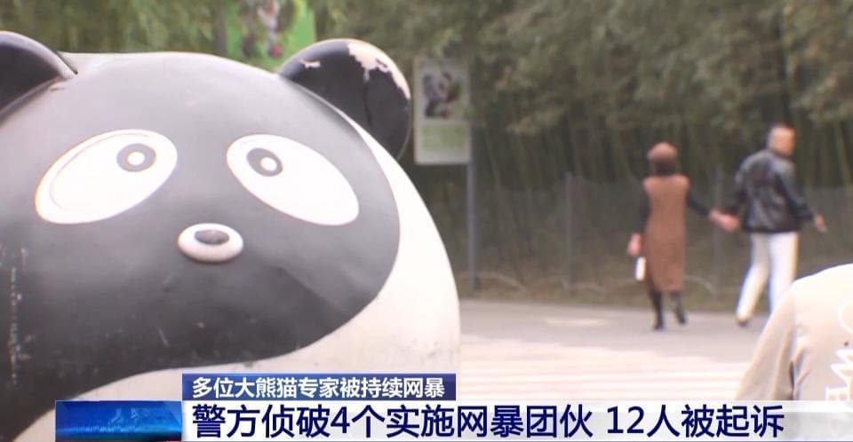 网暴大熊猫专家 造谣“虐待”谣言敛财……严惩以“爱”为名的伤害