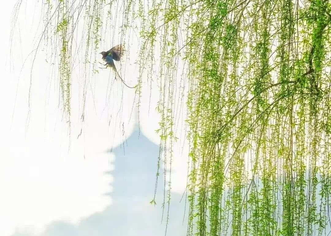 2025高考复习：小说人物的魅力密码：圆形人物与扁平人物