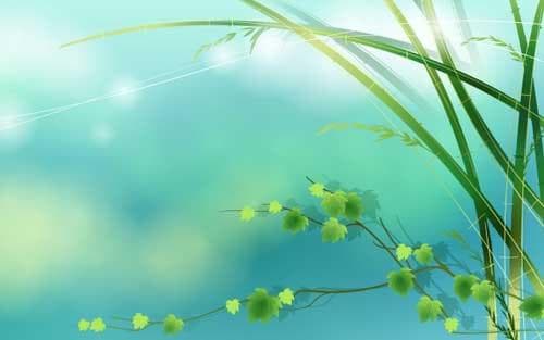 学习能力的重要性