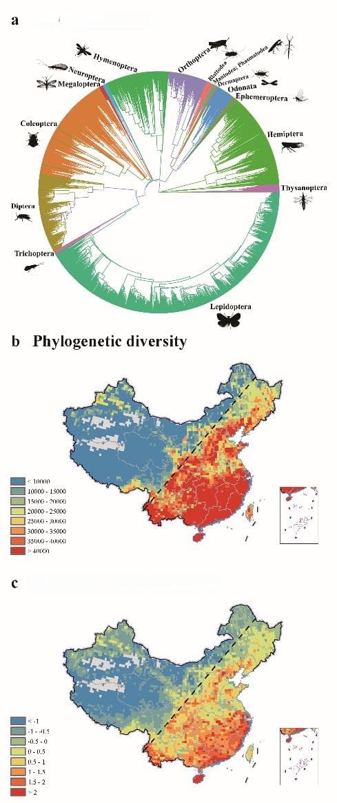 中国科学家揭示昆虫生物多样性格局