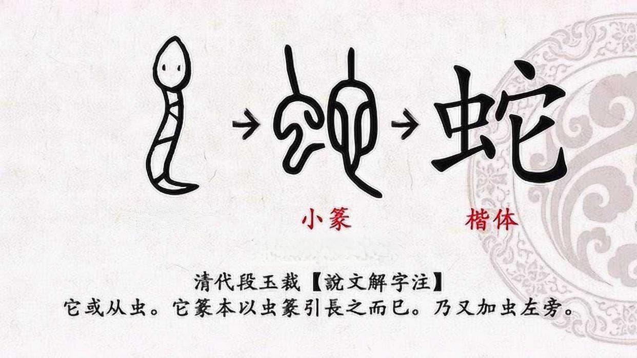 揭秘！蛇类起源：一亿五千万年前的神秘演化之旅