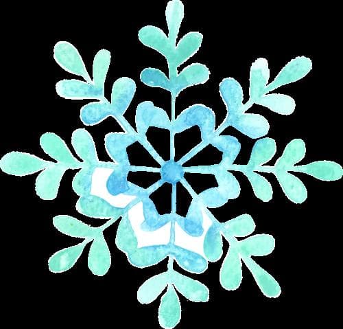 【汉宁·科普】大雪：化妆品中的益生菌和益生元