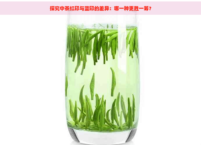 探究中茶红印与蓝印的差异：哪一种更胜一筹？