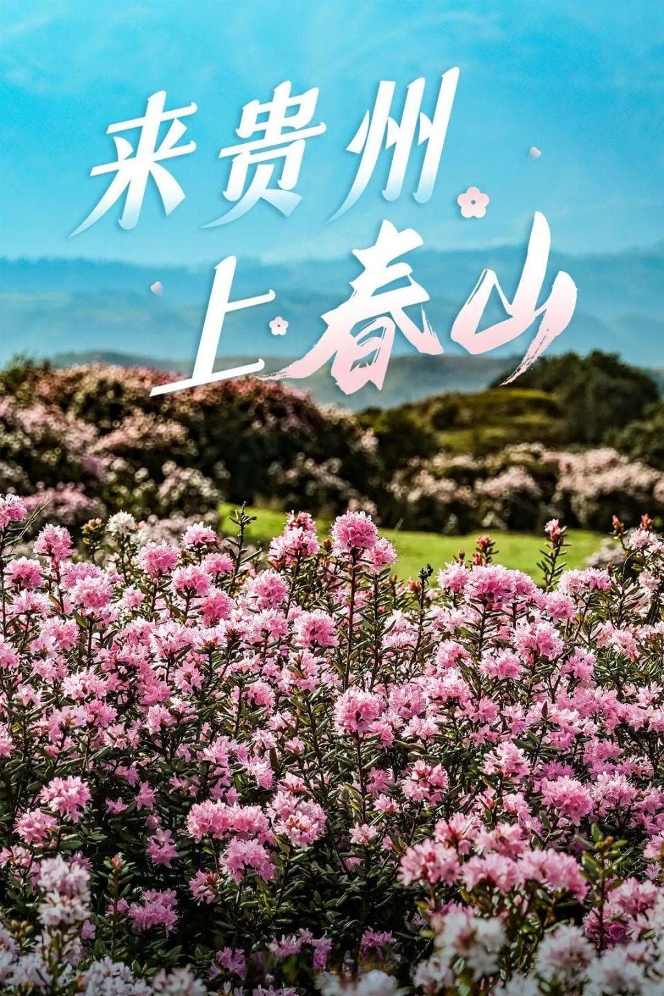 超6亿中国人免费！这个春天贵州请你到“黄小西吃晚饭”！
