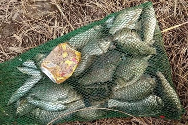冬钓鲫鱼饵料攻略：面饵虫饵使用要点