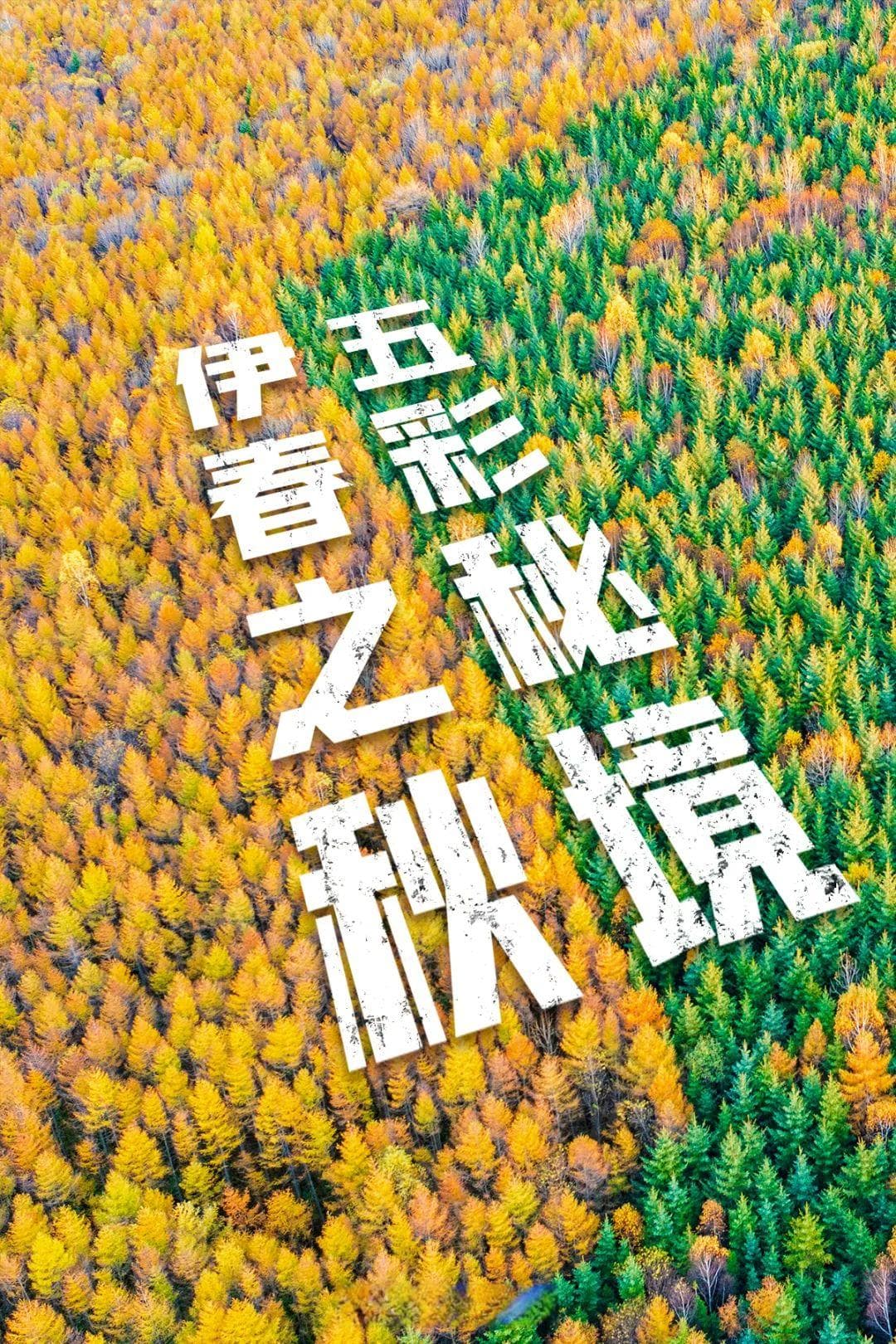 中国最震撼的秋色，就在这个森林第一大城