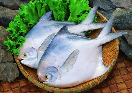 鲳鱼的营养价值与烹饪方法
