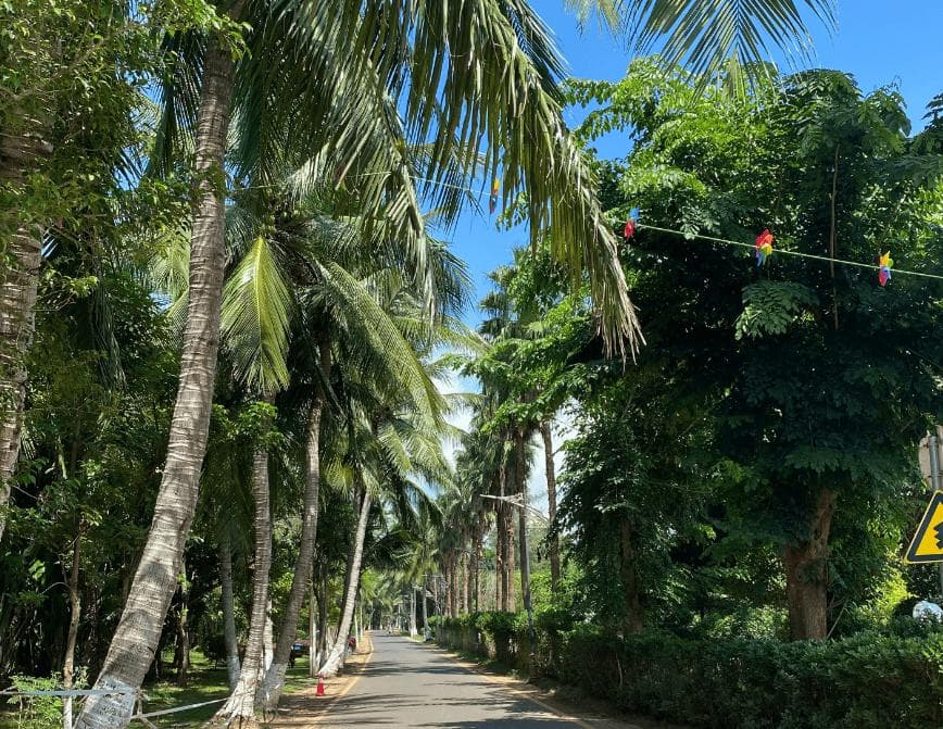 海口景点排名一览表，带你嗨翻椰城