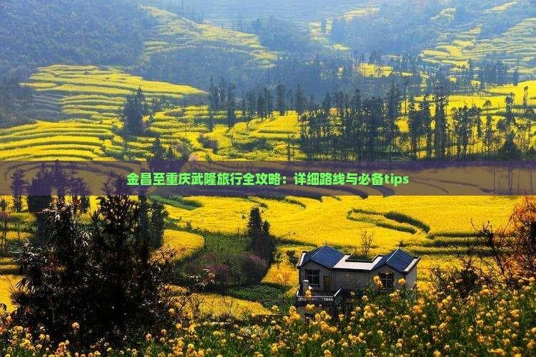 金昌至重庆武隆旅行全攻略：详细路线与必备tips