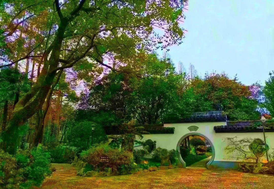 上海张堰公园：元代遗存的免费古典园林
