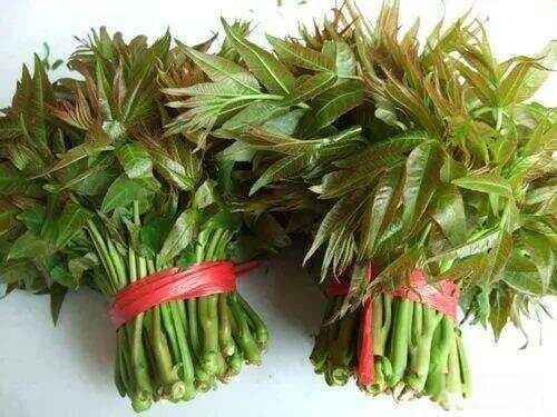 香椿芽焯水好还是不焯水好？你站哪边？