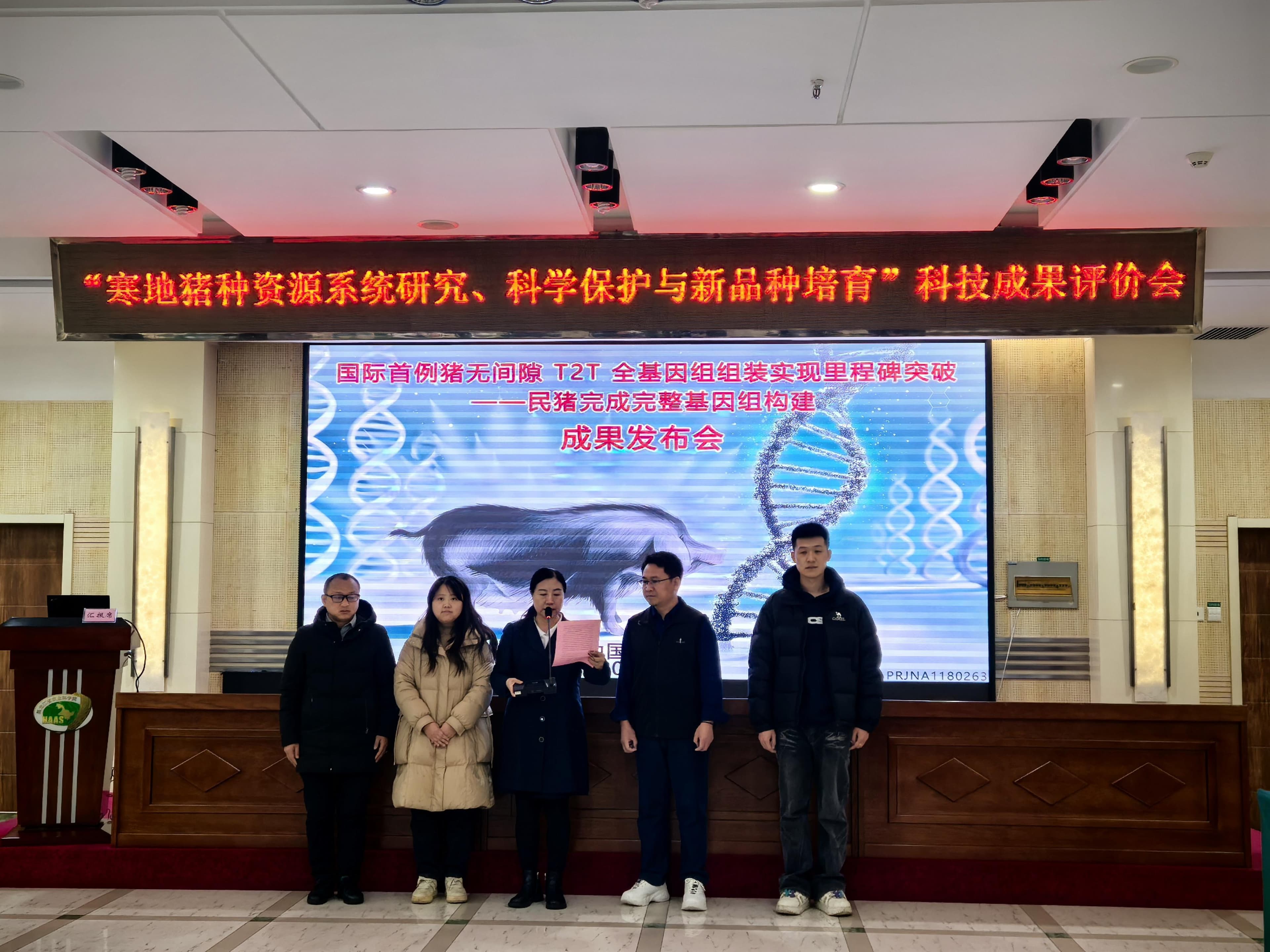 我科研团队联合发布以民猪构建国际首个猪T2T全基因组组装