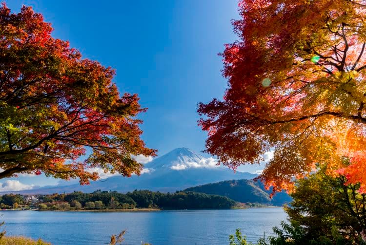 富士山圣地和艺术灵感之源（联合国教科文组织）