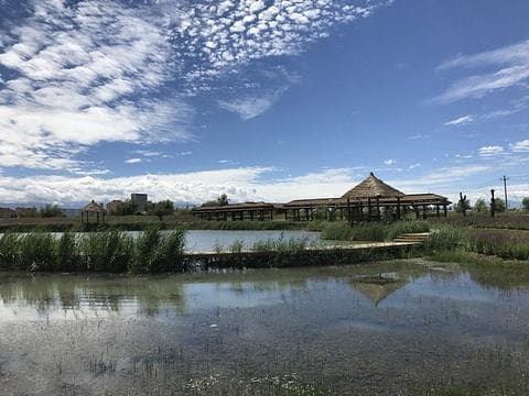 张掖国家湿地公园：自然与生态的完美交融