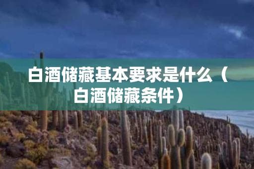 白酒储藏基本要求是什么（白酒储藏条件）