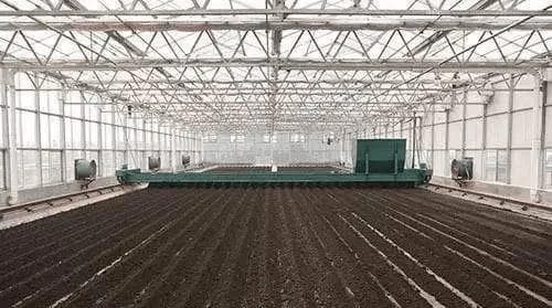 畜禽粪便的9种资源化利用方式
