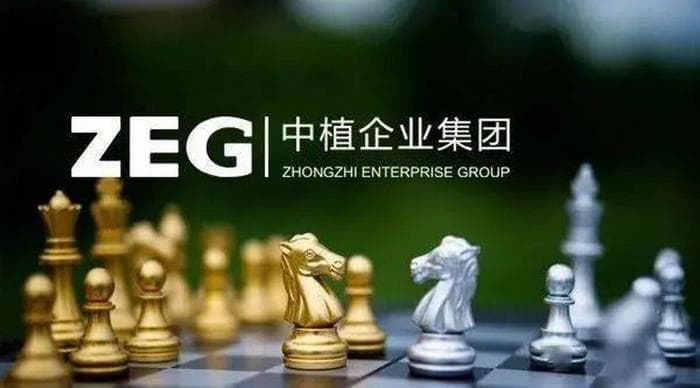 中植系案件最新进展：司法、资产处置与追赃挽损同步推进