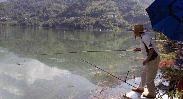 20年垂钓大师详解：台钓中诱钓结合的散炮饵与拉饵使用技巧