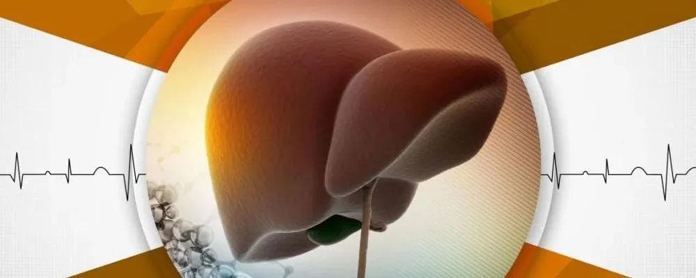 调作息、理情志、重饮食：全方位守护肝脏健康