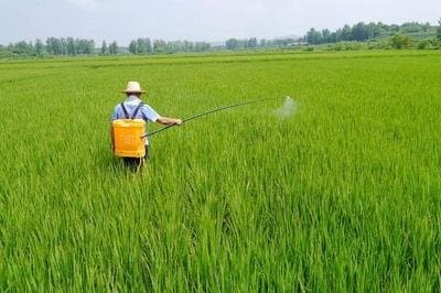 绿色农药创制再添新靶标