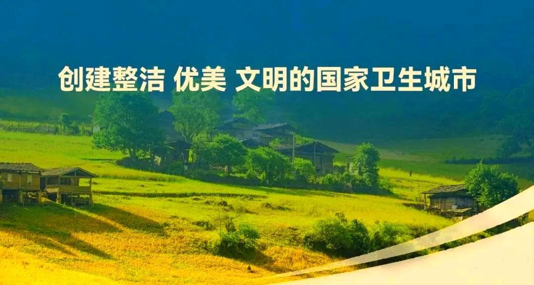 食品安全知识全解析：如何保障食品安全？