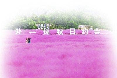 南京"网红打卡点"走红背后：机遇与挑战并存