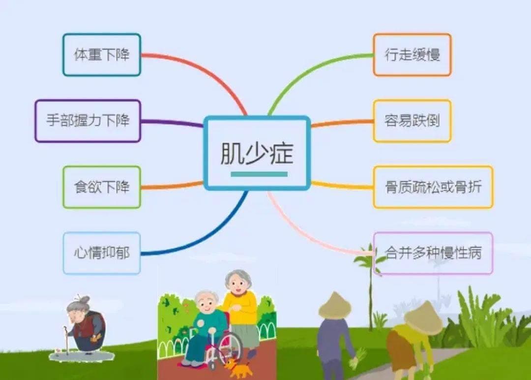 改善血糖的9种重要营养素
