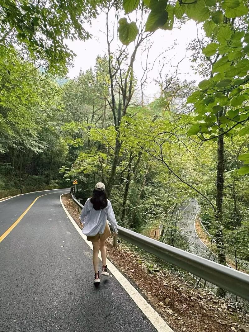 杭州自驾游天目山攻略：两小时车程邂逅千年古刹与绝美山景