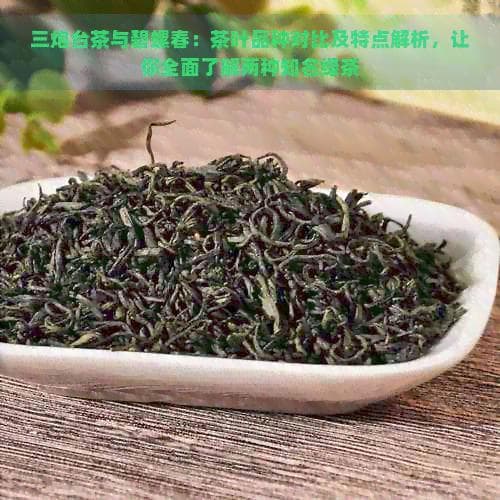 三炮台茶与碧螺春：茶叶品种对比及特点解析，让你全面了解两种知名绿茶
