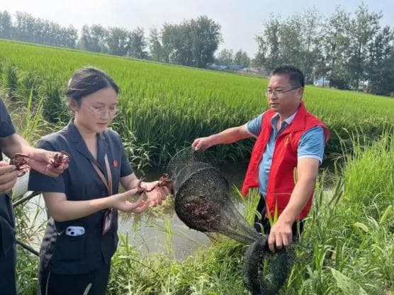 盱眙法院管仲法庭：服务龙虾养殖 助力乡村振兴