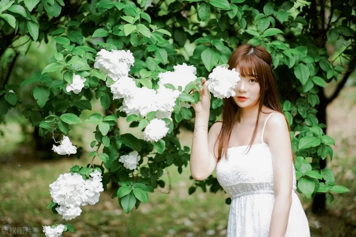 属狗与属虎婚配好不好