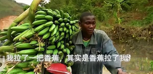 奥德彪又是什么梗