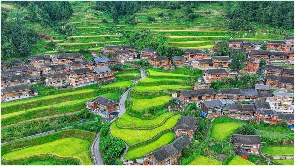 不去一趟白岩村，你真读不懂“響”字