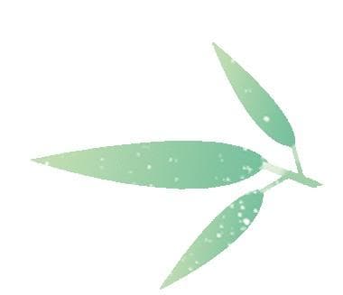 武汉社区包粽赛龙舟，湖北多地传承端午民俗