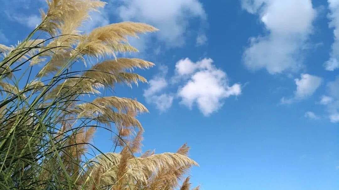 人到中年，最大的觉醒，是读懂了李白这四首诗