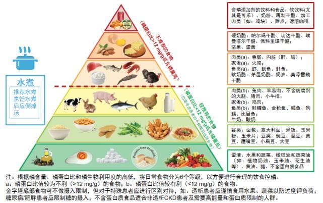 血液透析高磷血症“3D”治疗——饮食干预是首位