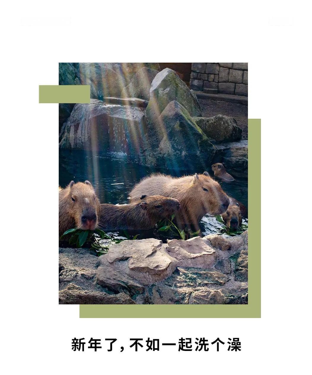 新年了，不如一起洗个澡