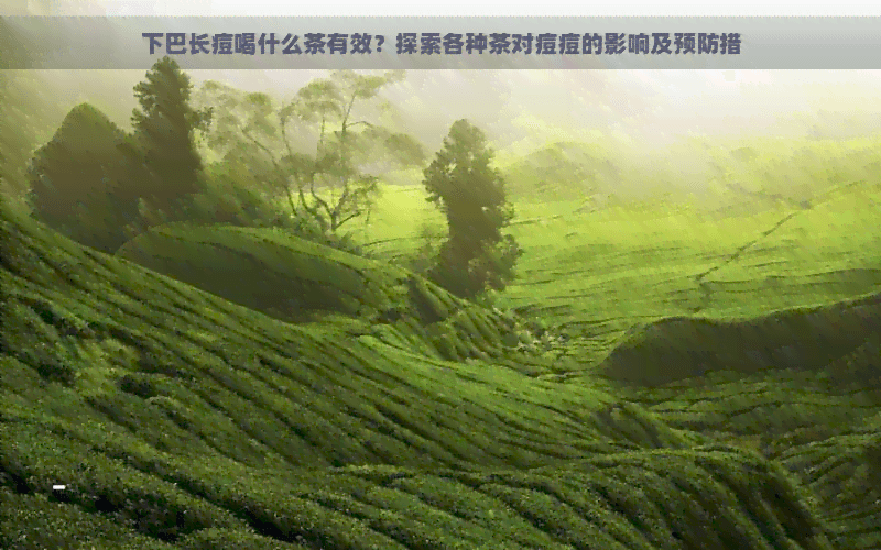 下巴长痘喝什么茶有效？探索各种茶对痘痘的影响及预防措施