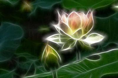 央视播出《佛教与科学》：探求因果的关系恰恰是科学发展的方向