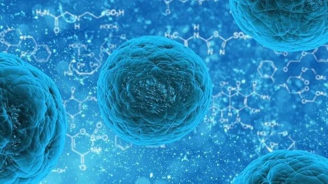 Cancer Cell：花生四烯酸协同IFNγ可诱导肿瘤细胞发生铁死亡