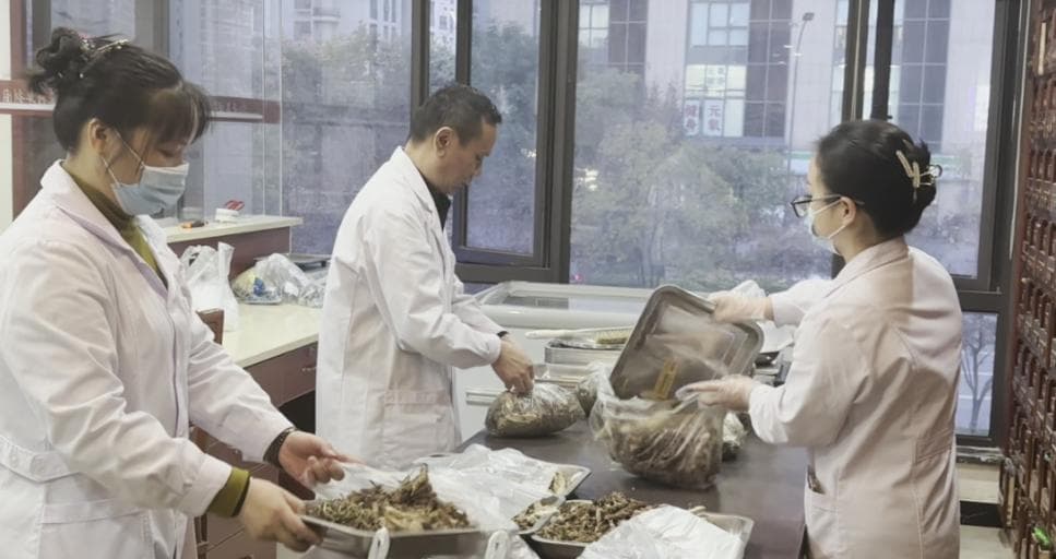 中医视角下的肿瘤：从预防到治疗的全面解析