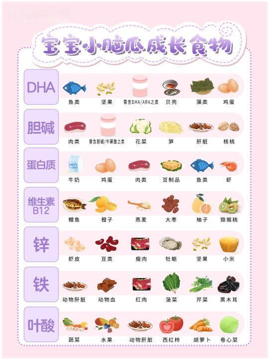 宝宝大脑发育关键营养及食物推荐指南