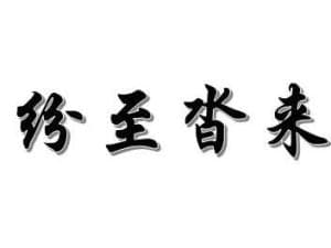 纷至沓来：成语释义与典故