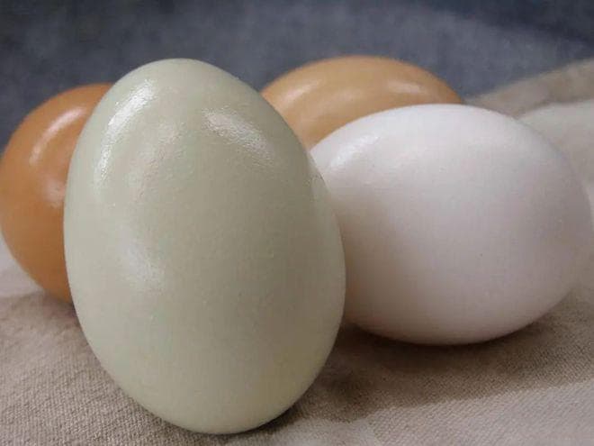 孕妇吃鹅蛋的N种美味吃法，孕期好处多多！